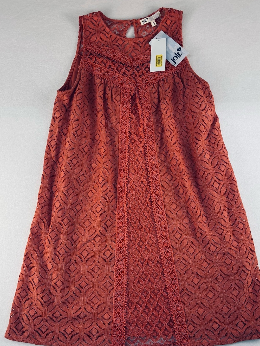 Joie Rust Lace-Panel A-Line Skirt